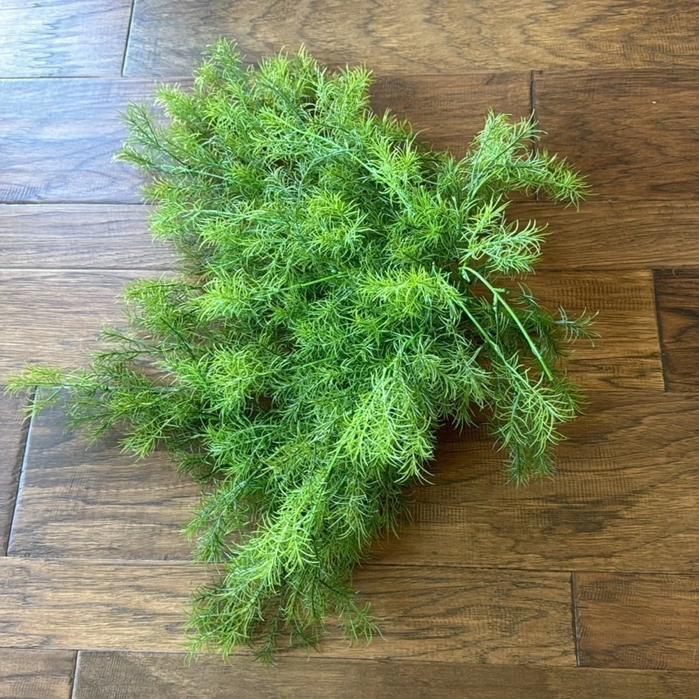 FAUX FLORAL~ASPARAGUS SPRENGERI~TRAILING FERN BUSH~PERFECT BURST OF COLOR~G2T